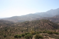 9403_mamarrokosp516.JPG