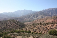 9404_mamarrokosp517.JPG