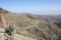 9411_mamarrokosp524.JPG