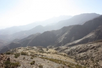 9412_mamarrokosp525.JPG