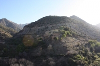 9418_mamarrokosp531.JPG