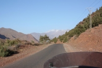 9420_mamarrokosp533.JPG