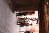 9448_mamarrokosp562.JPG