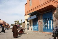 9454_mamarrokosp568.JPG
