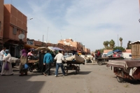 9455_mamarrokosp569.JPG