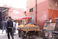 9465_mamarrokosp579.JPG