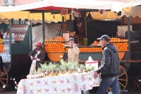 9483_mamarrokosp597.JPG