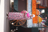 9486_mamarrokosp600.JPG