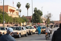9498_mamarrokosp612.JPG