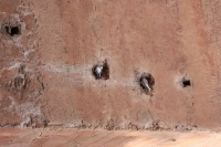 9510_mamarrokosp624.JPG