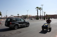 9562_mamarrokosp679.JPG
