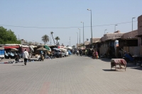 9567_mamarrokosp684.JPG