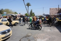 9568_mamarrokosp685.JPG