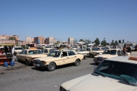 9569_mamarrokosp686.JPG
