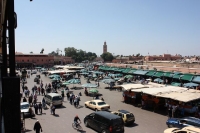 9580_mamarrokosp697.JPG