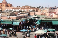 9581_mamarrokosp698.JPG