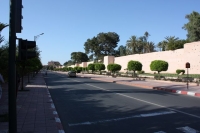 9585_mamarrokosp702.JPG