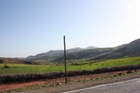 9588_mamarrokosp705.JPG