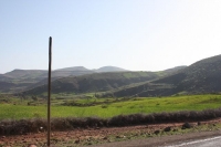 9590_mamarrokosp707.JPG