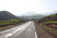 9591_mamarrokosp708.JPG
