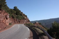 9598_mamarrokosp715.JPG