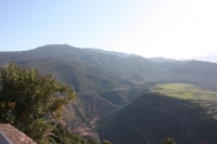 9599_mamarrokosp716.JPG
