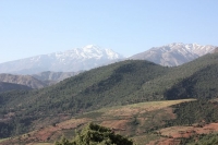 9600_mamarrokosp717.JPG