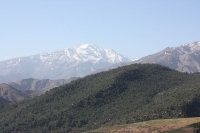 9601_mamarrokosp718.JPG