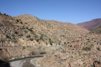 9602_mamarrokosp719.JPG