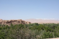 9613_mamarrokosp730.JPG