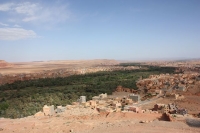 9617_mamarrokosp734.JPG