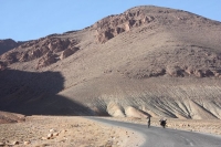 9625_mamarrokosp742.JPG