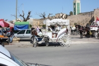 9690_mamarrokosp777.JPG