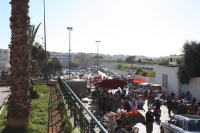 9696_mamarrokosp783.JPG