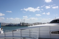 9699_mamarrokosp786.JPG