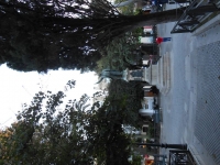 9713_mamarrokosp800.JPG