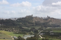 9716_mamarrokosp803.JPG