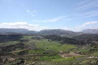 9722_mamarrokosp809.JPG