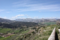 9723_mamarrokosp810.JPG