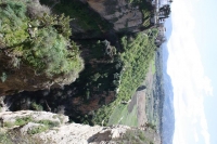 9725_mamarrokosp812.JPG