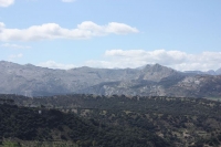 9732_mamarrokosp819.JPG