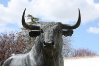 9736_mamarrokosp823.JPG
