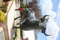 9737_mamarrokosp824.JPG
