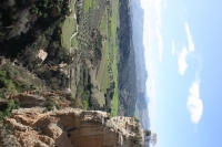 9745_mamarrokosp832.JPG
